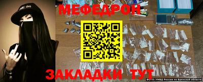 стаф Кунгур