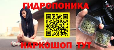 стаф Кунгур