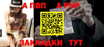 стаф Кунгур