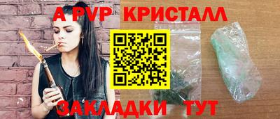 стаф Кунгур