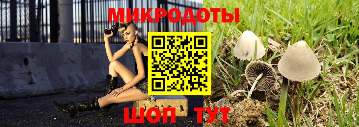Псилоцибиновые грибы прущие грибы  Вход с VPN  Ульяновск 